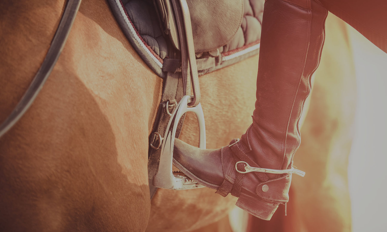 We are here to help with any horse feed, bedding (shavings or pellets) and wood pellet questions you may have. 