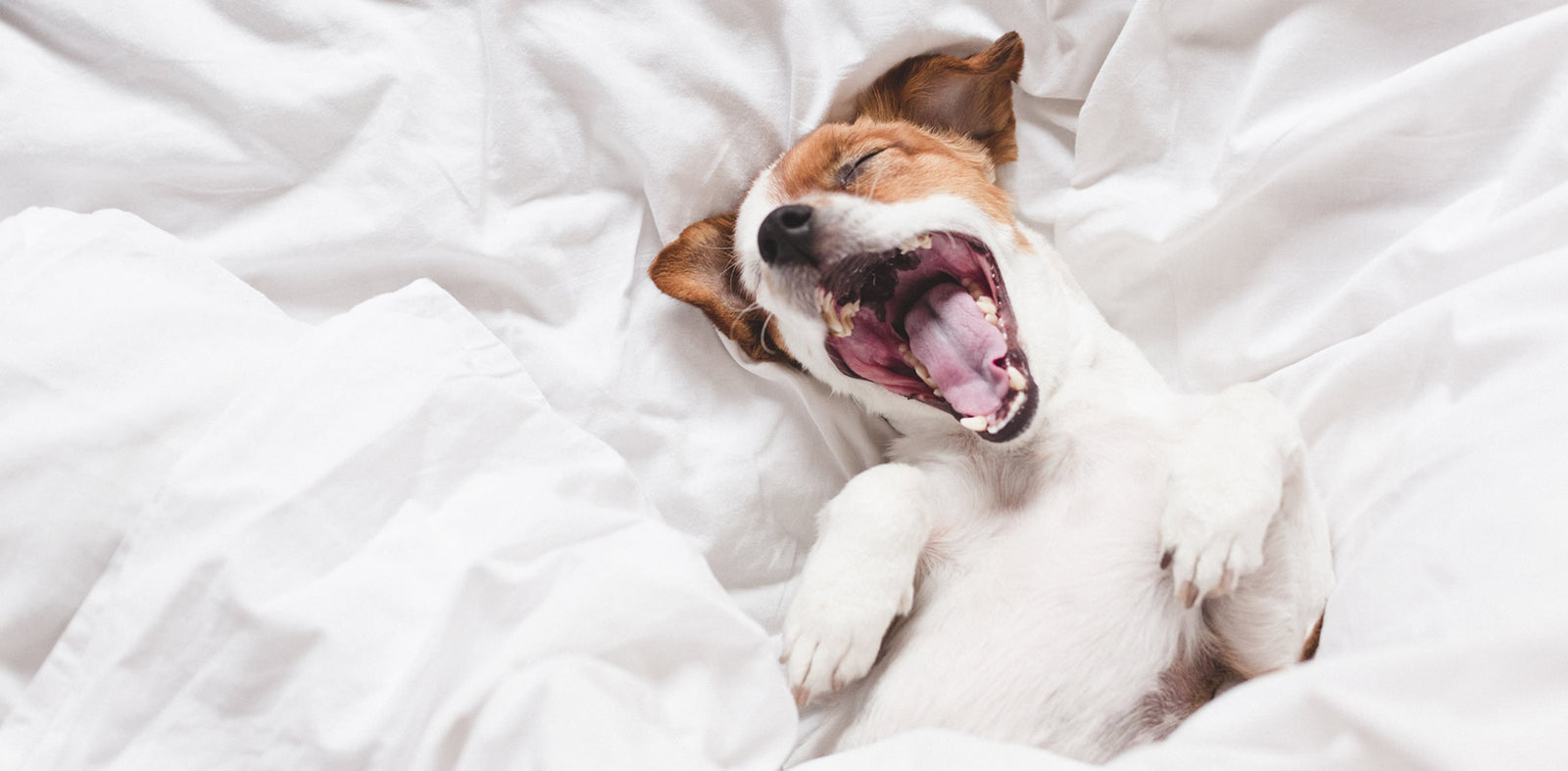 You can reach out and contact us anytime. We are here for your horse, hound and home. 